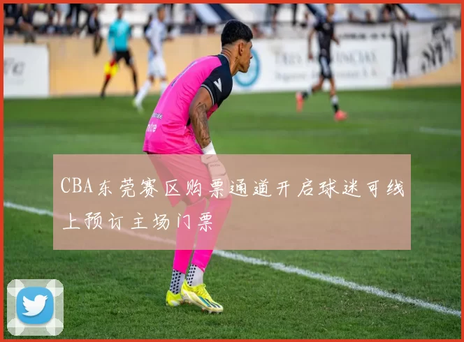 CBA东莞赛区购票通道开启球迷可线上预订主场门票