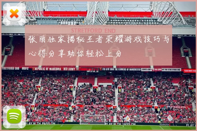 张丽独家揭秘王者荣耀游戏技巧与心得分享助你轻松上分