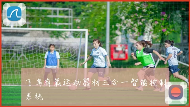 飞鸟有氧运动器材三合一智能控制系统