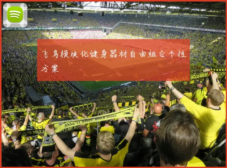 飞鸟模块化健身器材自由组合个性方案