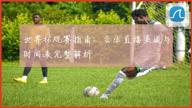 世界杯观赛指南:合法直播渠道与时间表完整解析
