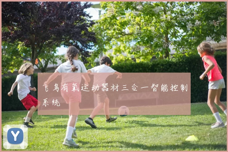 飞鸟有氧运动器材三合一智能控制系统