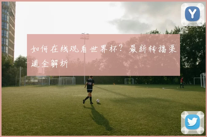 如何在线观看世界杯？最新转播渠道全解析