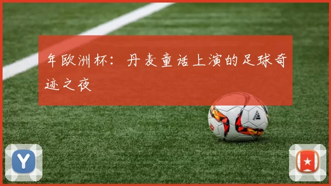 年欧洲杯:丹麦童话上演的足球奇迹之夜