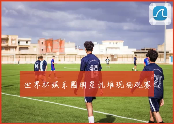 世界杯娱乐圈明星扎堆现场观赛